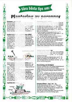 9. Plantering av perenner